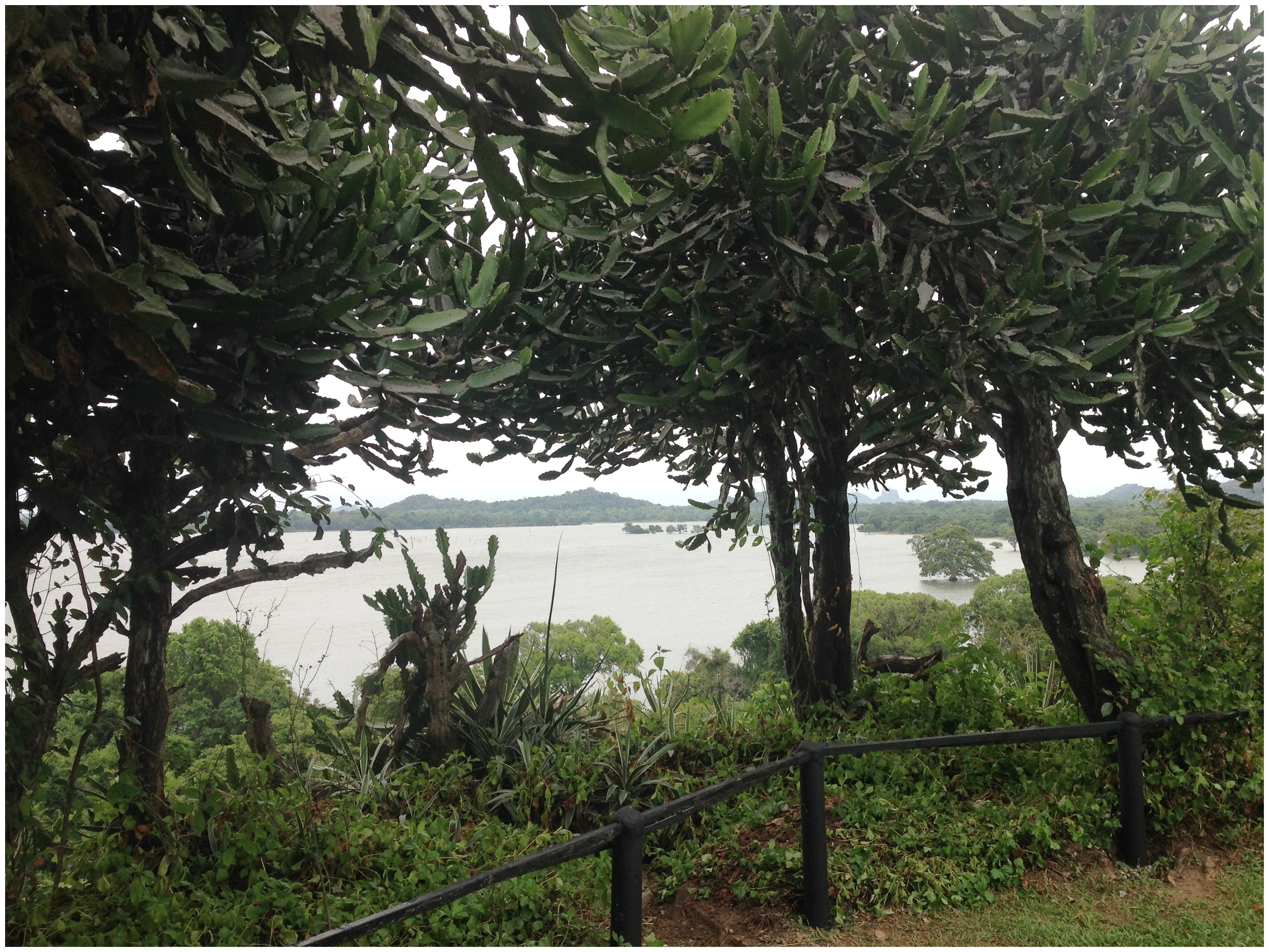 Heritance Kandalama, view