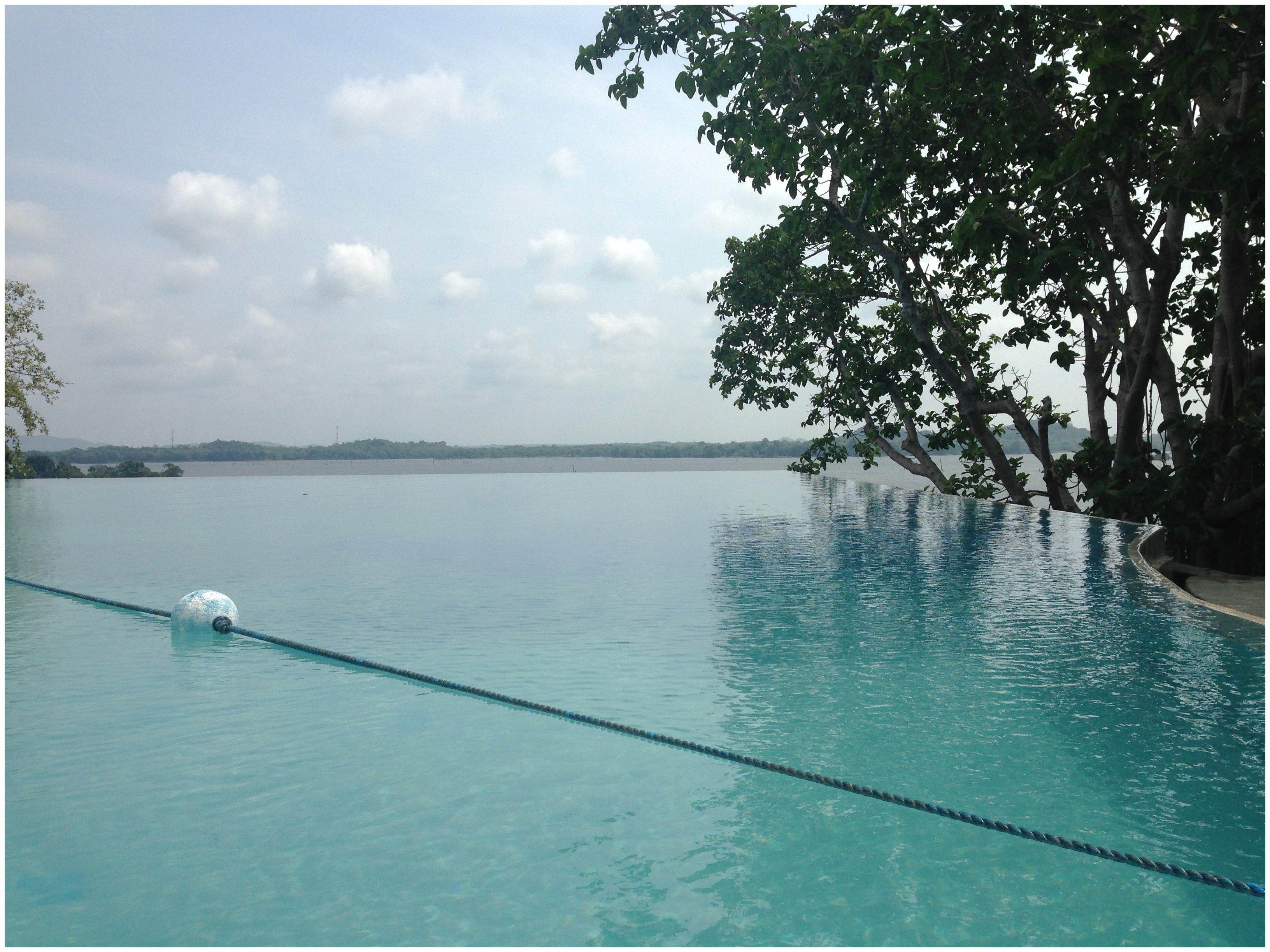 Heritance Kandalama, Infinity Pool