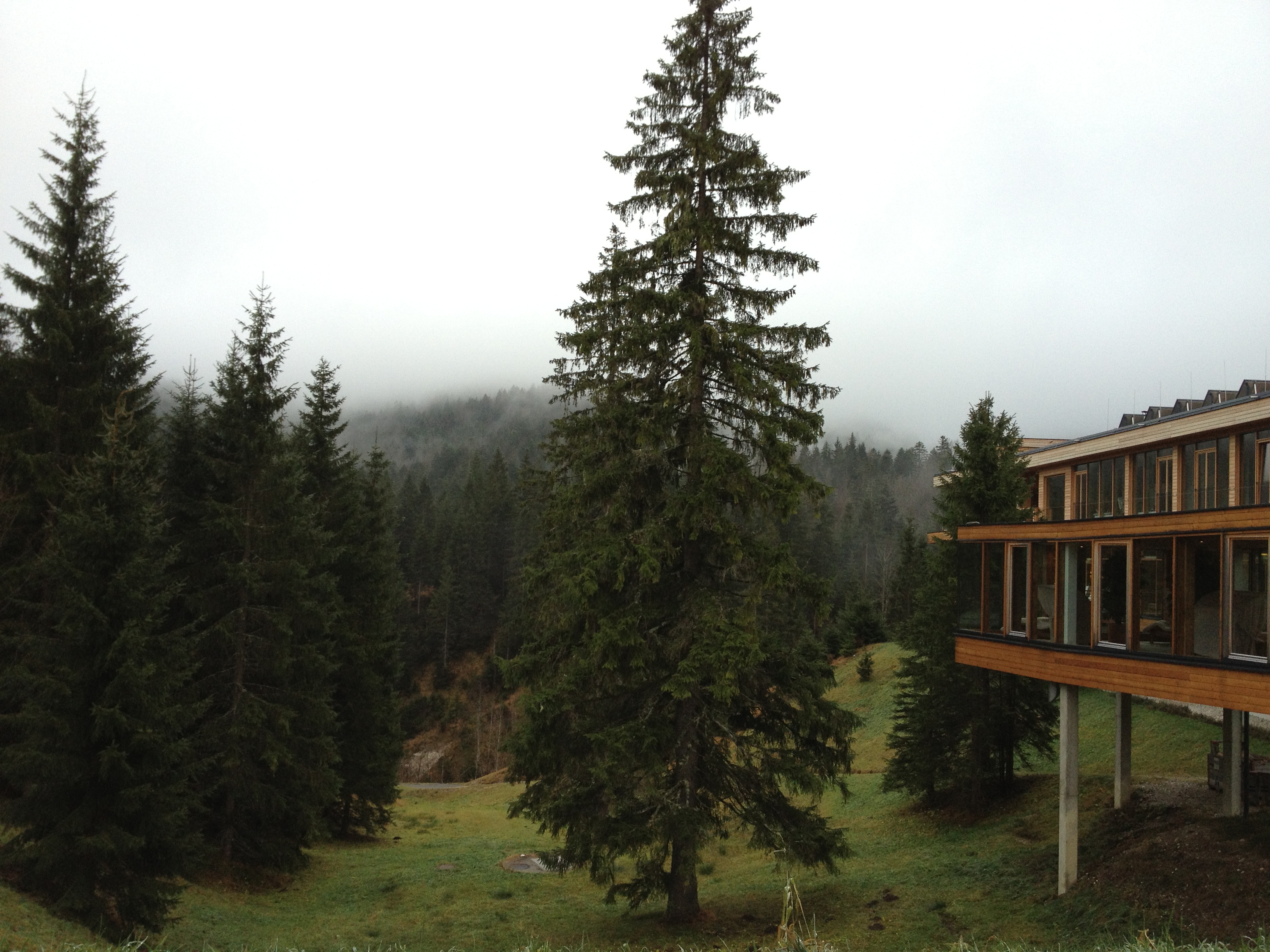 Das Kranzbach, View